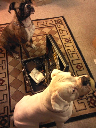 Oscar & Boo
